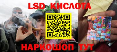 крисы Шахты