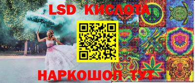 прущие крисы Шелехов