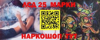 прущие крисы Шелехов