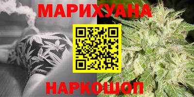 прущие крисы Шелехов