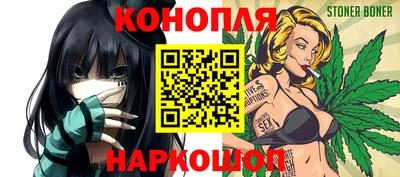 крисы Шахты