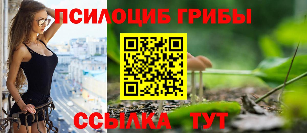 Галлюциногенные грибы Psilocybine cubensis Минусинск